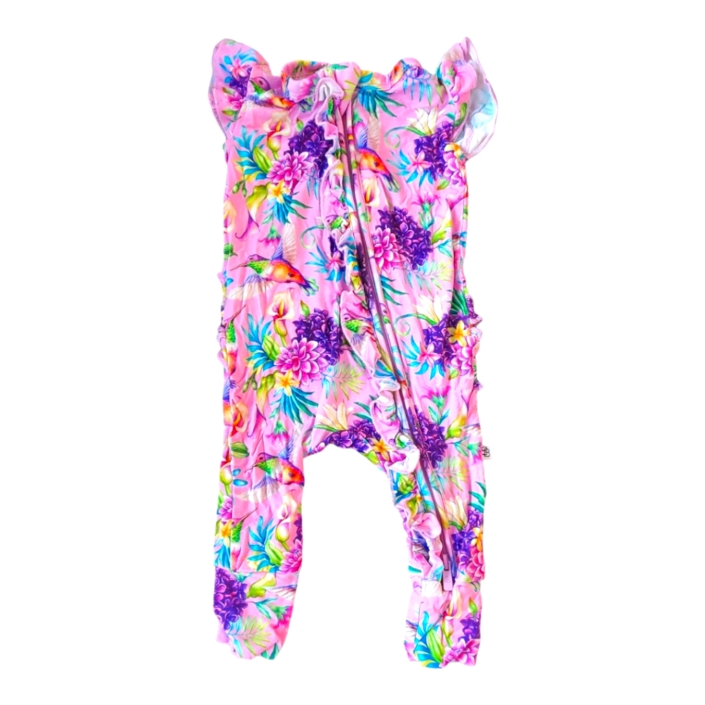 Little Bum Bums Hum Away With Me Romper| Hummingbirds| Size 18-24M